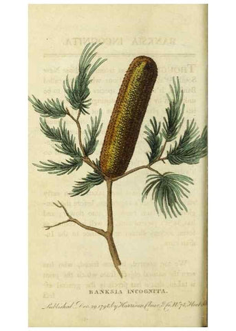 Reproducción/Reproduction 48827163452: The Naturalist's Pocket Magazine or compleat cabinet of the curiosities and beauties of nature.. London.. 