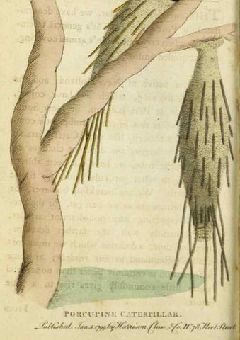 Reproducción/Reproduction 48826633653: The Naturalist's Pocket Magazine or compleat cabinet of the curiosities and beauties of nature.. London.. 