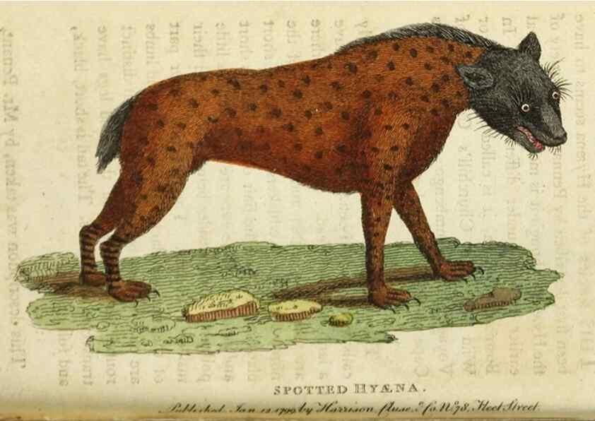 Reproducción/Reproduction 48827165042: The Naturalist's Pocket Magazine or compleat cabinet of the curiosities and beauties of nature.. London.. 