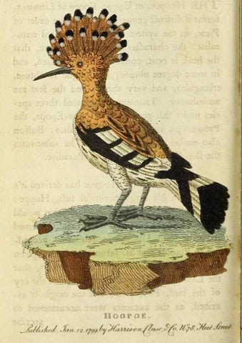 Reproducción/Reproduction 48827165422: The Naturalist's Pocket Magazine or compleat cabinet of the curiosities and beauties of nature.. London.. 