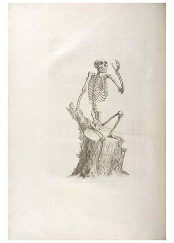 Reproducción/Reproduction 48832789901: Osteographia, or the Anatomy of the Bones.. London,1733.. 