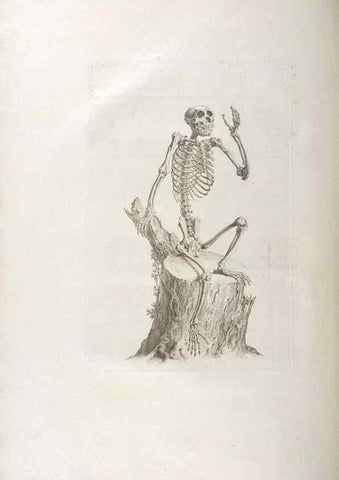 Reproducción/Reproduction 48832789901: Osteographia, or the Anatomy of the Bones.. London,1733.. 