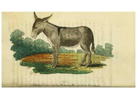 Reproducción/Reproduction 48827162707: The Naturalist's Pocket Magazine or compleat cabinet of the curiosities and beauties of nature.. London.. 