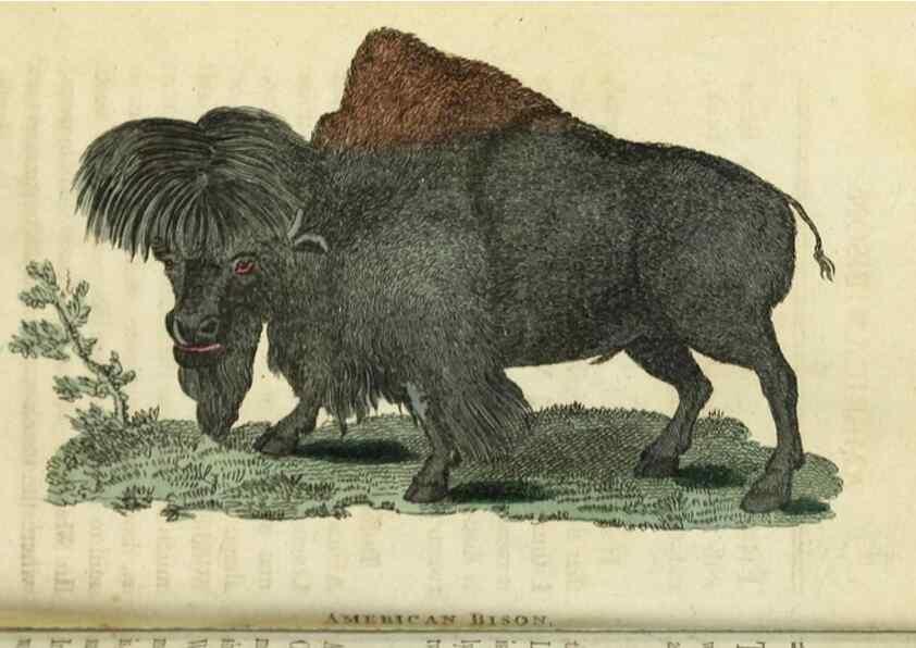 Reproducción/Reproduction 48826626893: The Naturalist's Pocket Magazine or compleat cabinet of the curiosities and beauties of nature.. London.. 