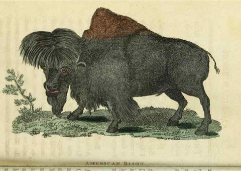 Reproducción/Reproduction 48826626893: The Naturalist's Pocket Magazine or compleat cabinet of the curiosities and beauties of nature.. London.. 