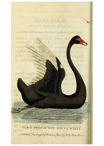 Reproducción/Reproduction 48826628593: The Naturalist's Pocket Magazine or compleat cabinet of the curiosities and beauties of nature.. London.. 