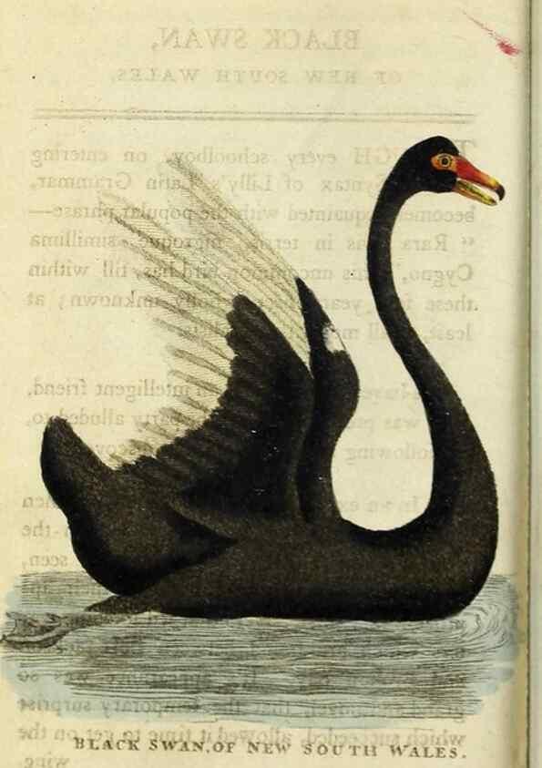 Reproducción/Reproduction 48826628593: The Naturalist's Pocket Magazine or compleat cabinet of the curiosities and beauties of nature.. London.. 