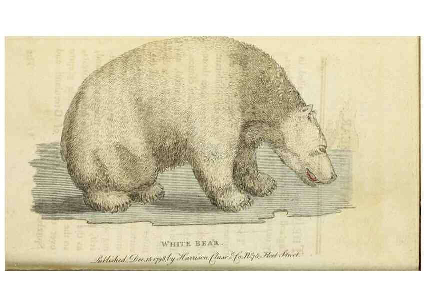 Reproducción/Reproduction 48826629433: The Naturalist's Pocket Magazine or compleat cabinet of the curiosities and beauties of nature.. London.. 