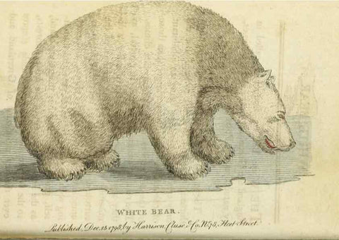 Reproducción/Reproduction 48826629433: The Naturalist's Pocket Magazine or compleat cabinet of the curiosities and beauties of nature.. London.. 