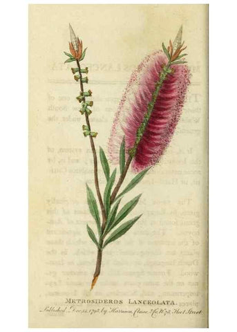 Reproducción/Reproduction 48826630218: The Naturalist's Pocket Magazine or compleat cabinet of the curiosities and beauties of nature.. London.. 