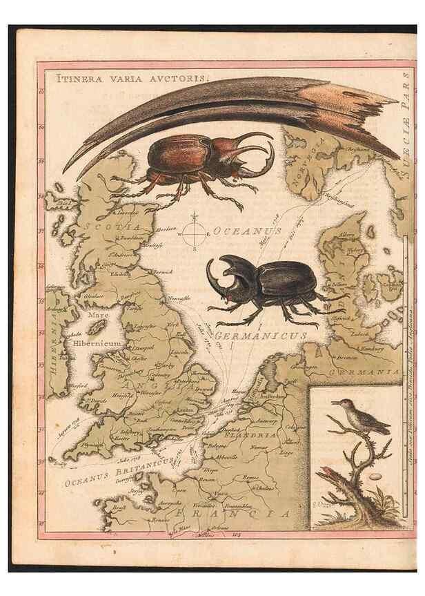 Reproducción/Reproduction 48832967108: A natural history of uncommon birds :. London :Printed for the author, at the College of Physicians in Warwick-Lane,1743-1751.. 