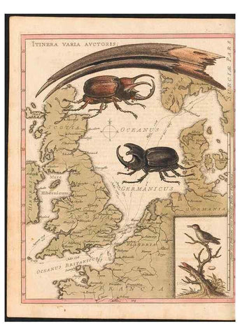 Reproducción/Reproduction 48832967108: A natural history of uncommon birds :. London :Printed for the author, at the College of Physicians in Warwick-Lane,1743-1751.. 