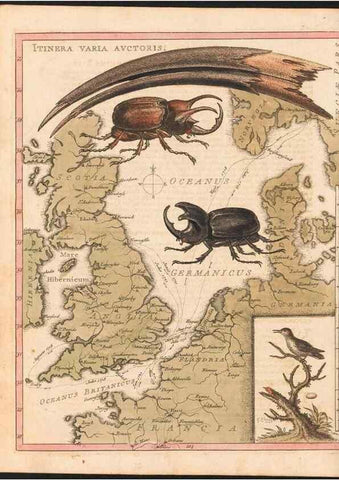 Reproducción/Reproduction 48832967108: A natural history of uncommon birds :. London :Printed for the author, at the College of Physicians in Warwick-Lane,1743-1751.. 