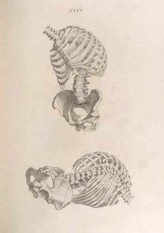 Reproducción/Reproduction 48832828131: Osteographia, or the Anatomy of the Bones.. London,1733.. 