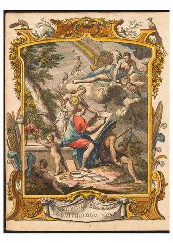 Reproducción/Reproduction 48832917663: A natural history of uncommon birds :. London :Printed for the author, at the College of Physicians in Warwick-Lane,1743-1751.. 