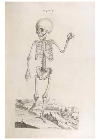 Reproducción/Reproduction 48832458368: Osteographia, or the Anatomy of the Bones.. London,1733.. 