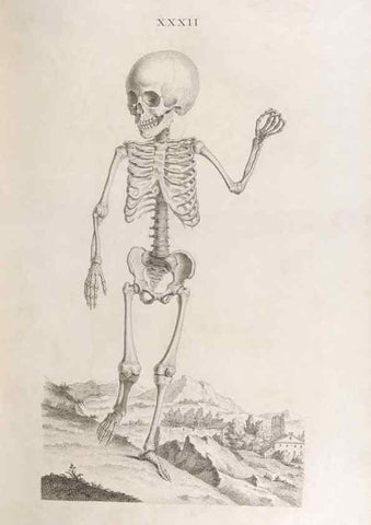 Reproducción/Reproduction 48832458368: Osteographia, or the Anatomy of the Bones.. London,1733.. 