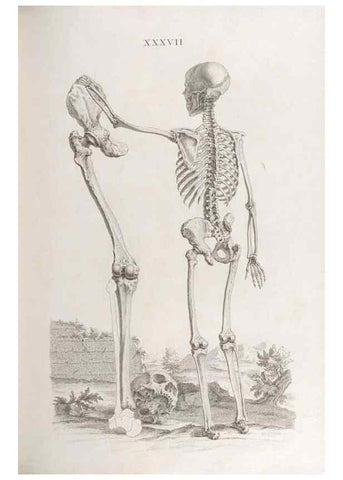Reproducción/Reproduction 48832825661: Osteographia, or the Anatomy of the Bones.. London,1733.. 