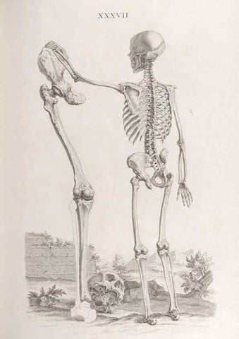 Reproducción/Reproduction 48832825661: Osteographia, or the Anatomy of the Bones.. London,1733.. 