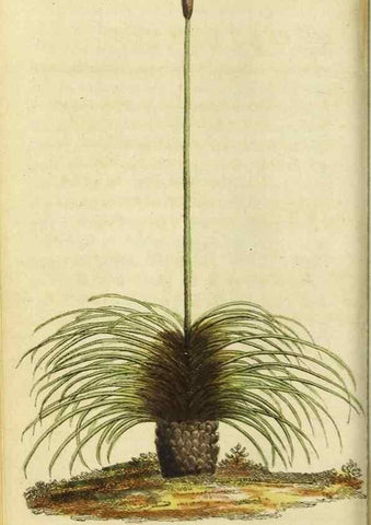 Reproducción/Reproduction 48794753307: The Naturalist's Pocket Magazine or compleat cabinet of the curiosities and beauties of nature.. London.. 