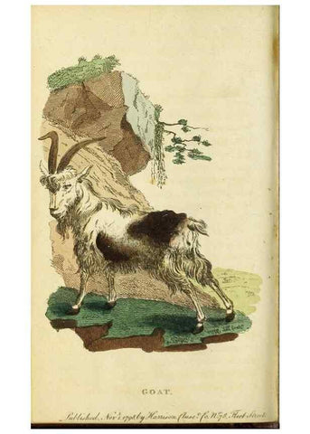 Reproducción/Reproduction 48794616021: The Naturalist's Pocket Magazine or compleat cabinet of the curiosities and beauties of nature.. London.. 