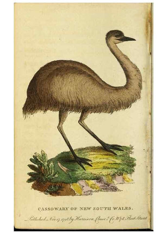 Reproducción/Reproduction 48794742241: The Naturalist's Pocket Magazine or compleat cabinet of the curiosities and beauties of nature.. London.. 