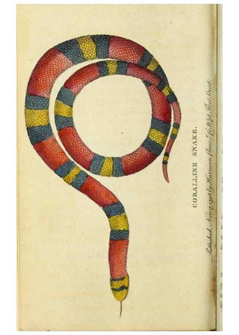Reproducción/Reproduction 48794880632: The Naturalist's Pocket Magazine or compleat cabinet of the curiosities and beauties of nature.. London.. 