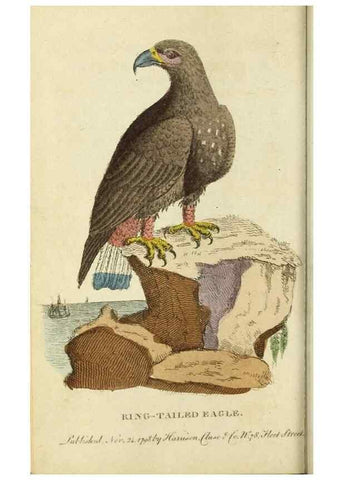 Reproducción/Reproduction 48794881522: The Naturalist's Pocket Magazine or compleat cabinet of the curiosities and beauties of nature.. London.. 