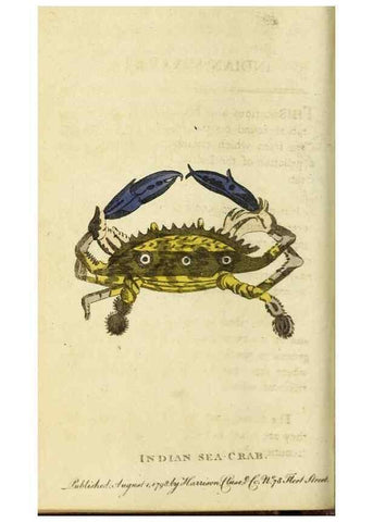 Reproducción/Reproduction 48794750942: The Naturalist's Pocket Magazine or compleat cabinet of the curiosities and beauties of nature.. London.. 