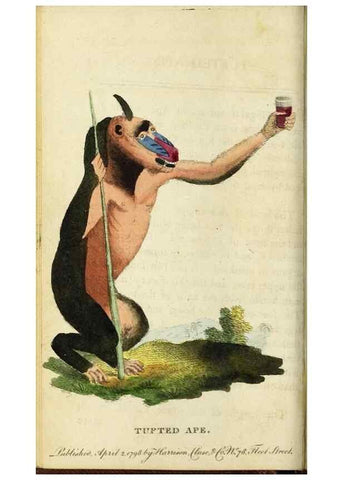 Reproducción/Reproduction 48794745082: The Naturalist's Pocket Magazine or compleat cabinet of the curiosities and beauties of nature.. London.. 