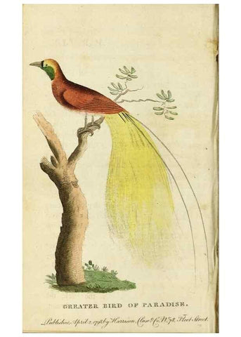 Reproducción/Reproduction 48794745412: The Naturalist's Pocket Magazine or compleat cabinet of the curiosities and beauties of nature.. London.. 
