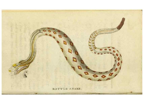 Reproducción/Reproduction 48794247213: The Naturalist's Pocket Magazine or compleat cabinet of the curiosities and beauties of nature.. London.. 