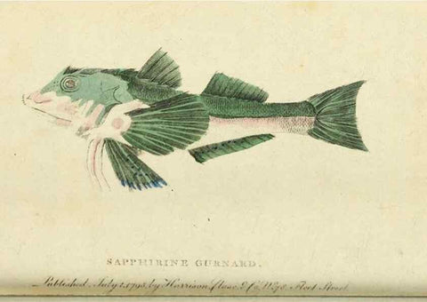 Reproducción/Reproduction 48794749582: The Naturalist's Pocket Magazine or compleat cabinet of the curiosities and beauties of nature.. London.. 