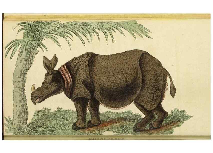 Reproducción/Reproduction 48794742527: The Naturalist's Pocket Magazine or compleat cabinet of the curiosities and beauties of nature.. London.. 
