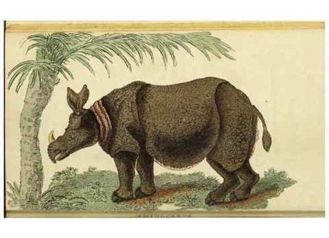 Reproducción/Reproduction 48794742527: The Naturalist's Pocket Magazine or compleat cabinet of the curiosities and beauties of nature.. London.. 