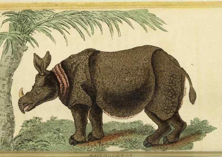 Reproducción/Reproduction 48794742527: The Naturalist's Pocket Magazine or compleat cabinet of the curiosities and beauties of nature.. London.. 