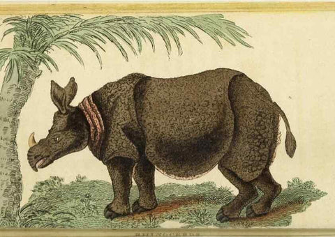 Reproducción/Reproduction 48794742527: The Naturalist's Pocket Magazine or compleat cabinet of the curiosities and beauties of nature.. London.. 
