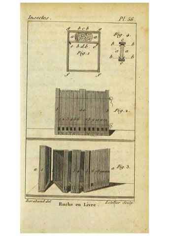 Reproducción/Reproduction 48792651653: Histoire naturelle des insectes, composée d'après Réamur, Geoffroy, Degéer, Roesel, Linné, Fabricius, et les meilleurs ouvrages qui ont paru sur cette partie;. Paris,Roret,1828.. 