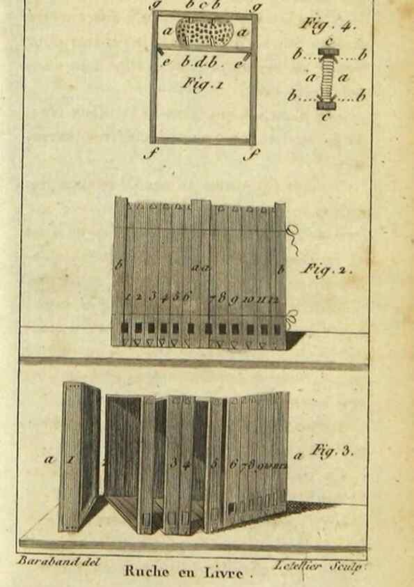 Reproducción/Reproduction 48792651653: Histoire naturelle des insectes, composée d'après Réamur, Geoffroy, Degéer, Roesel, Linné, Fabricius, et les meilleurs ouvrages qui ont paru sur cette partie;. Paris,Roret,1828.. 