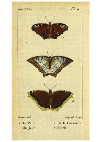 Reproducción/Reproduction 48792740578: Histoire naturelle des insectes, composée d'après Réamur, Geoffroy, Degéer, Roesel, Linné, Fabricius, et les meilleurs ouvrages qui ont paru sur cette partie;. Paris,Roret,1828.. 