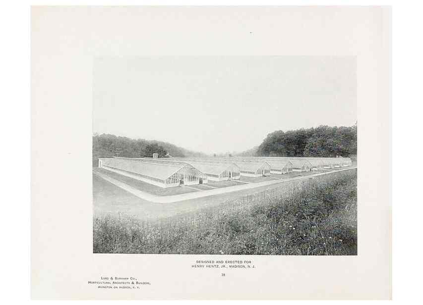 Reproducción/Reproduction 48860251466: Catalogue of greenhouses /. Irvington, N.Y. :The Company,c1903.. 