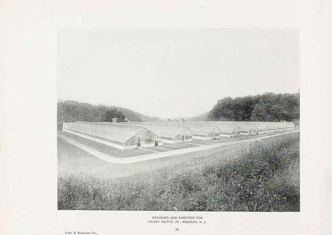 Reproducción/Reproduction 48860251466: Catalogue of greenhouses /. Irvington, N.Y. :The Company,c1903.. 
