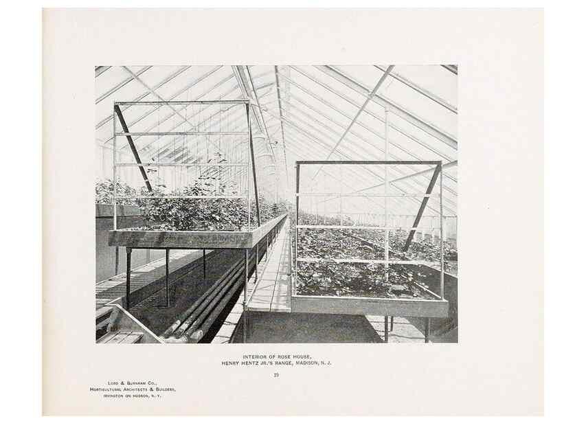 Reproducción/Reproduction 48860251891: Catalogue of greenhouses /. Irvington, N.Y. :The Company,c1903.. 