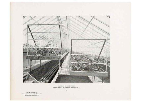Reproducción/Reproduction 48860251891: Catalogue of greenhouses /. Irvington, N.Y. :The Company,c1903.. 