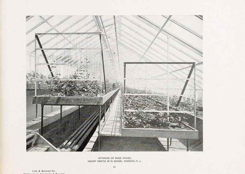 Reproducción/Reproduction 48860251891: Catalogue of greenhouses /. Irvington, N.Y. :The Company,c1903.. 