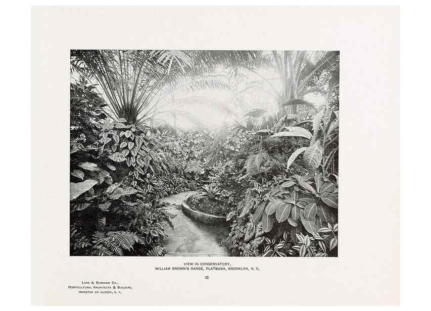 Reproducción/Reproduction 48859901098: Catalogue of greenhouses /. Irvington, N.Y. :The Company,c1903.. 
