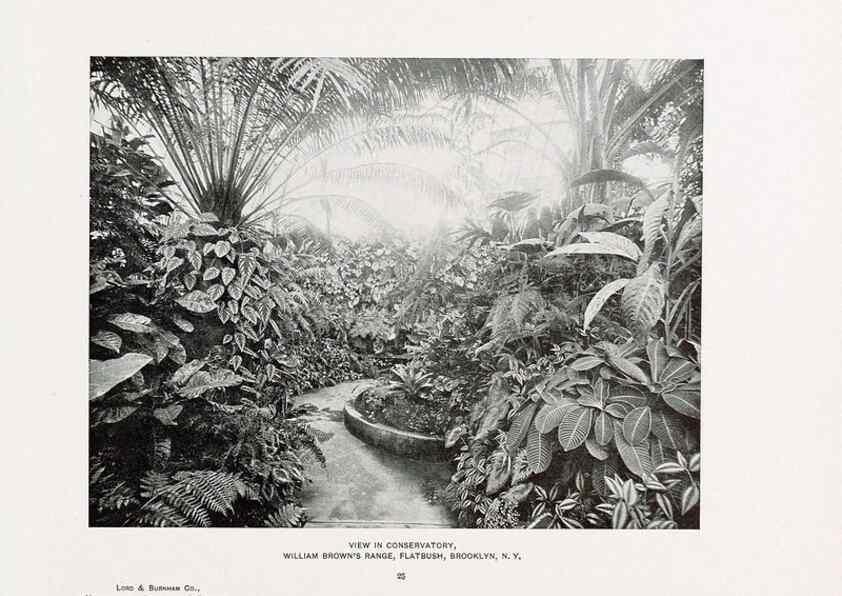 Reproducción/Reproduction 48859901098: Catalogue of greenhouses /. Irvington, N.Y. :The Company,c1903.. 