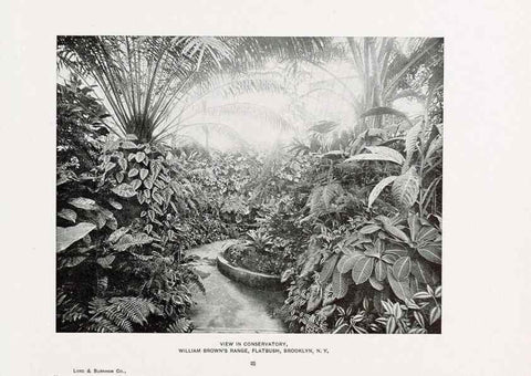 Reproducción/Reproduction 48859901098: Catalogue of greenhouses /. Irvington, N.Y. :The Company,c1903.. 