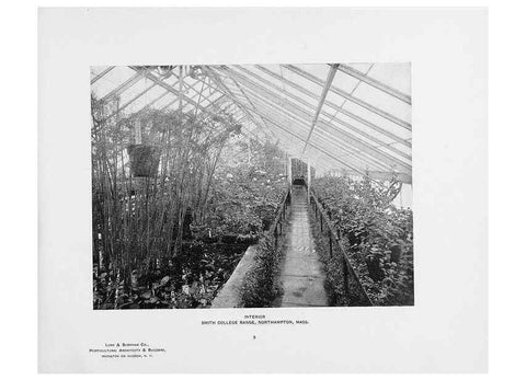 Reproducción/Reproduction 48860247891: Catalogue of greenhouses /. Irvington, N.Y. :The Company,c1903.. 
