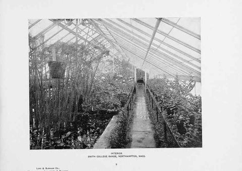 Reproducción/Reproduction 48860247891: Catalogue of greenhouses /. Irvington, N.Y. :The Company,c1903.. 